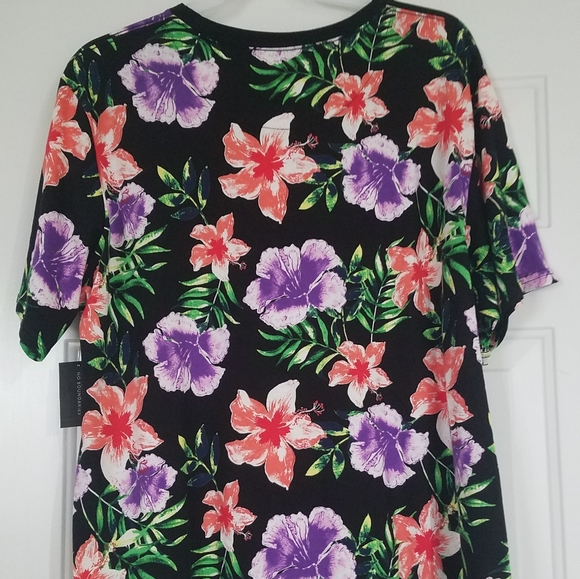 No Boundaries - Picture 4 of 4